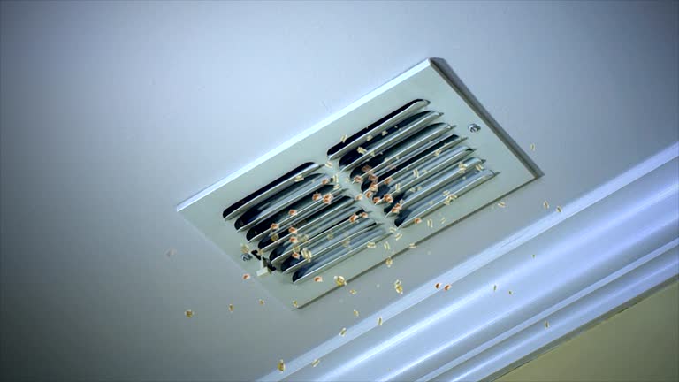 Best Best Air Duct Cleaning Company  in Birdsboro, PA