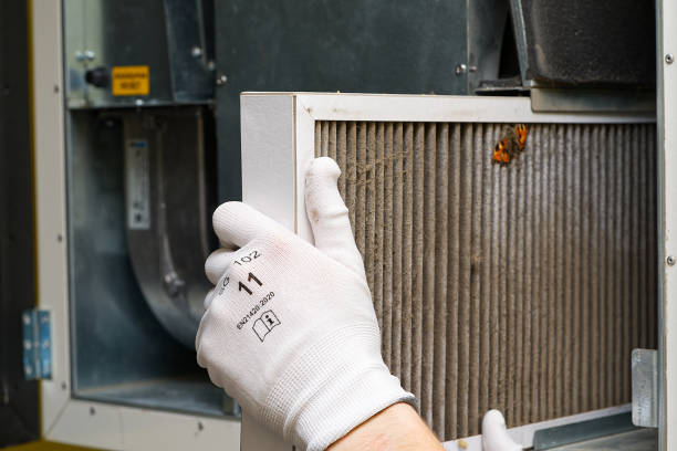 Best Ductwork Cleaning Services  in Birdsboro, PA