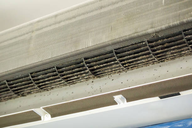 Best Duct Cleaning Specialists  in Birdsboro, PA